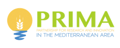 Logo PRIMA 1